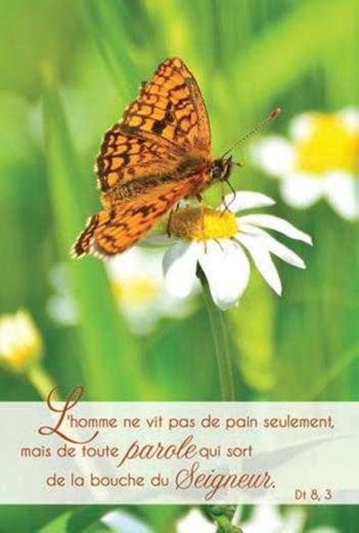 Lot de 20 - Carte simple Photo Nature L´homme ne vit pas de pain seulement