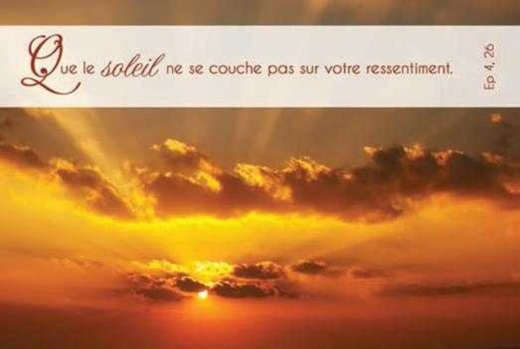 Lot de 20 - Carte simple Photo Nature Que le soleil ne se couche pas