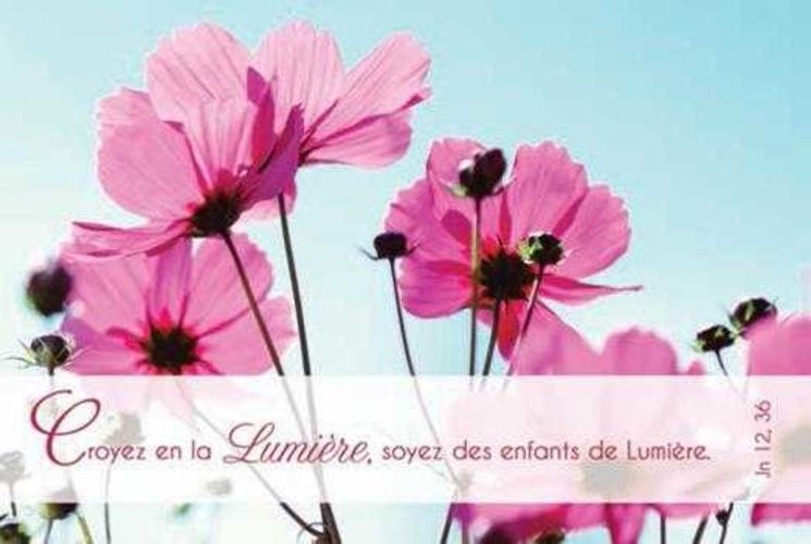 Lot de 20 - Carte simple Photo Nature Croyez en la lmière