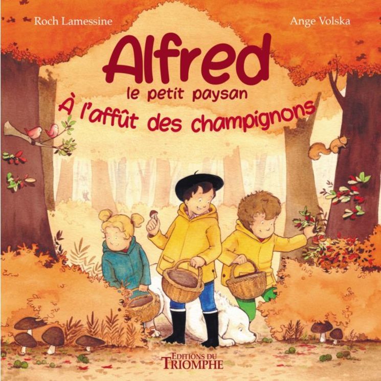 À l´affût des champignons