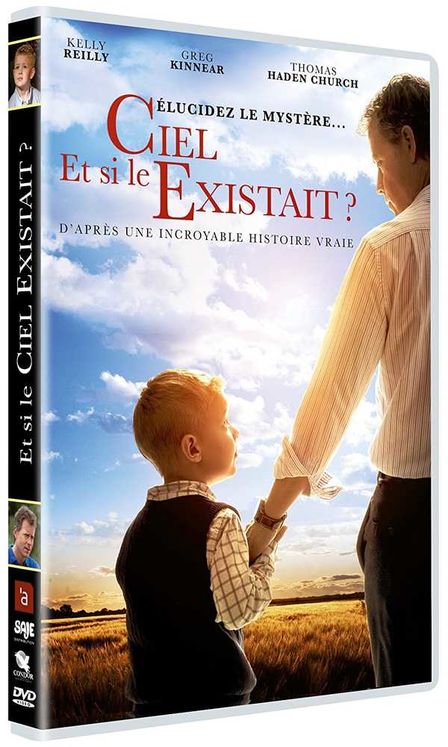 Et si le Ciel existait ? - DVD