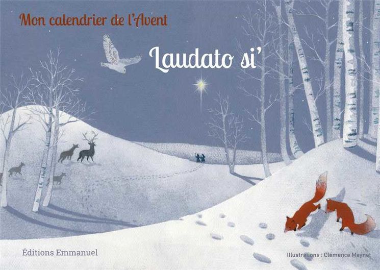 Mon calendrier de l´Avent Laudato si´