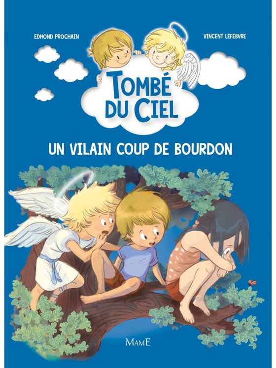 Un vilain coup de bourdon - Tombé du ciel Tome 5