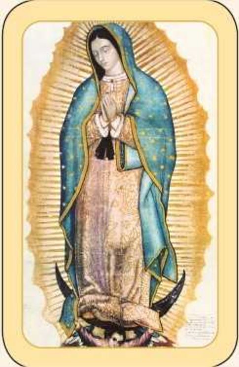 Paquet de 50 Cartes - Prière - CB1230 - Notre-Dame de Guadalupe